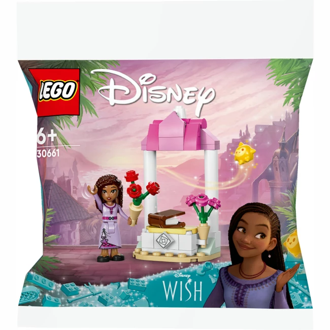 Конструктор LEGO Disney Princess Вітальний стенд Аші 46 деталей (3066)