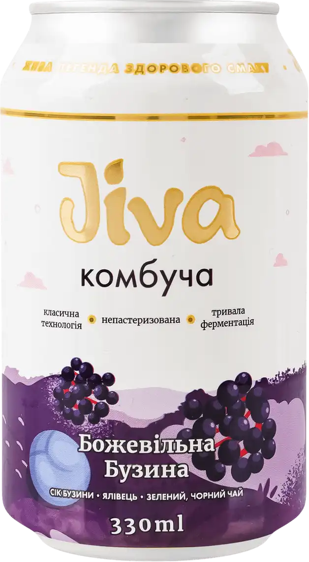 Комбуча Jiva Божевільна Бузина з соком бузини 340 г