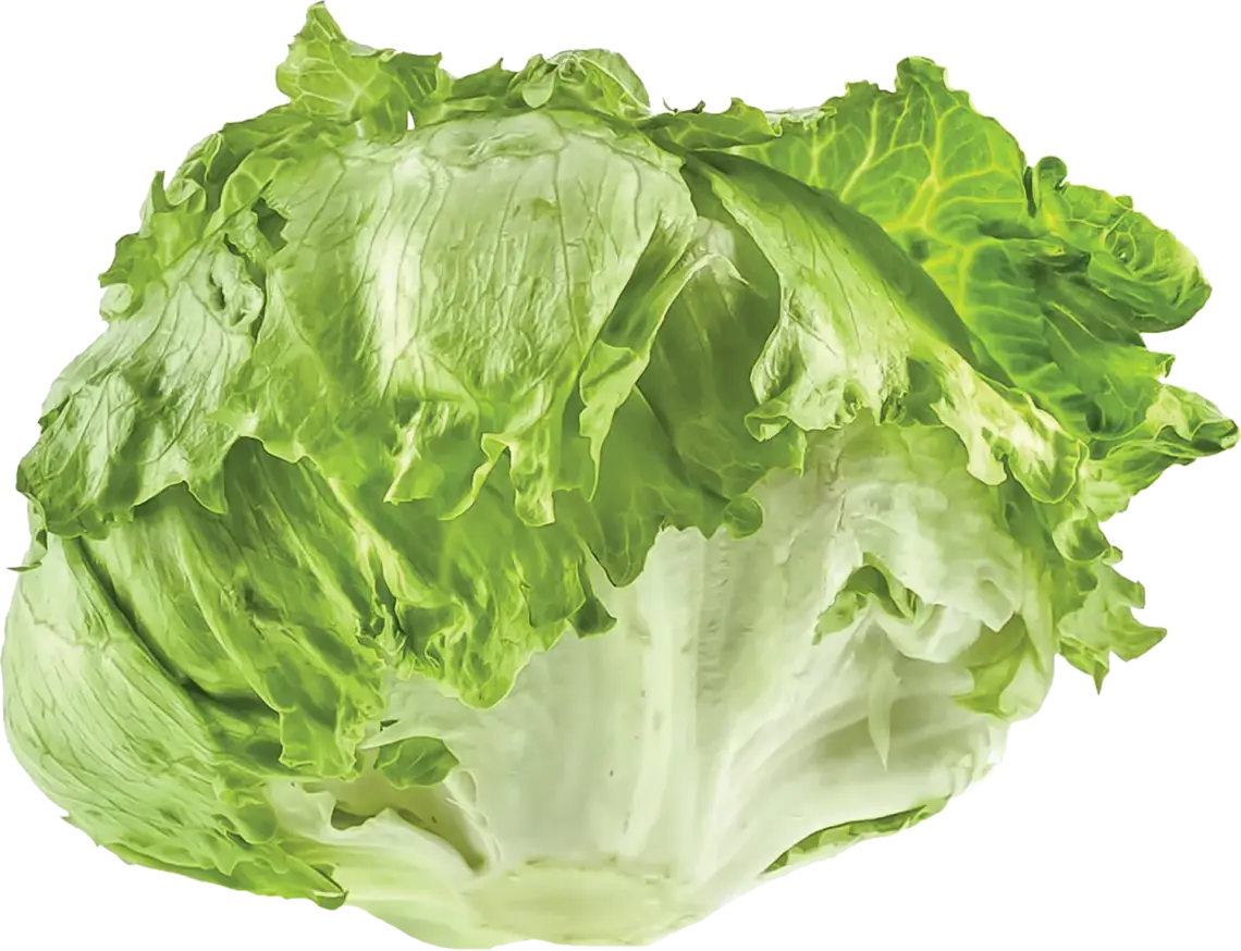 Салат Айсберг, ваговий
