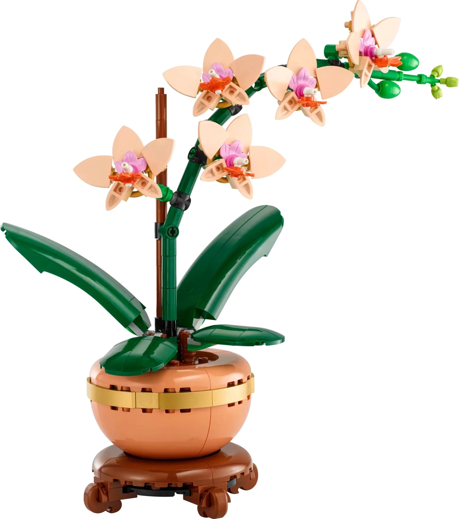 Конструктор LEGO Botanicals Маленька орхідея 274 елементи (5702017814643)