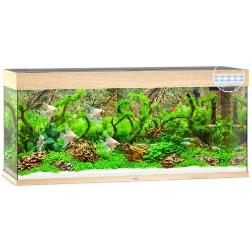 Акваріум Juwel RIO 240 LED прямий 121х55х41см 240 л (3850/3800)