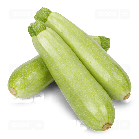 Кабачок