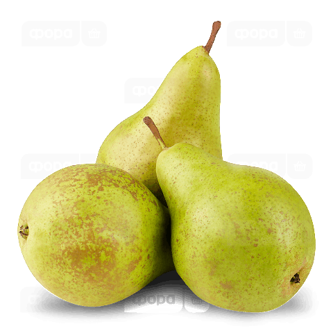 Груша «Конференція»