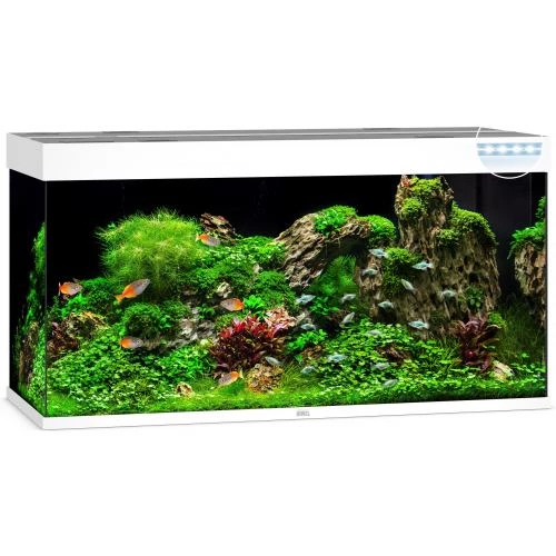 Акваріум Juwel Rio 350 LED прямий 121х66х51 см 350 л (7450)