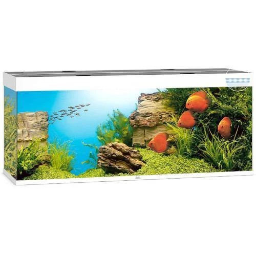 Акваріум Juwel Rio 450 LED прямий 151x66x51 см 450 л (5450 JUWEL)