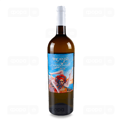 Вино Encanto Chardonnay органічне біле сухе
