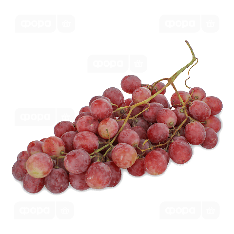 Виноград рожевий